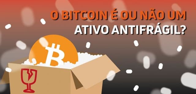 Imagem do post O Bitcoin é ou não um ativo antifrágil?